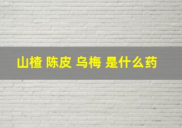 山楂 陈皮 乌梅 是什么药